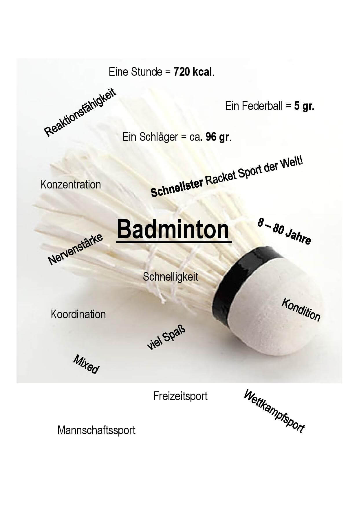 (c) Ehningen-badminton.de
